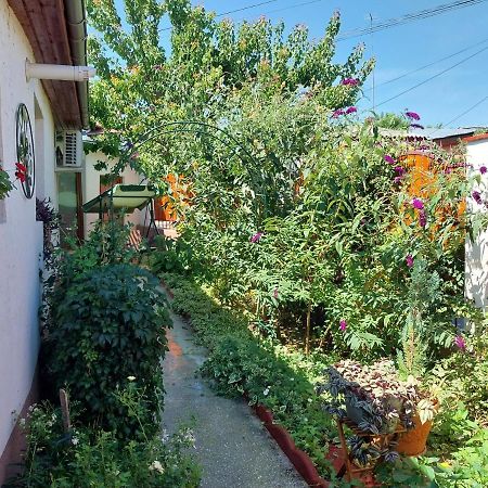 Casa Calin Villa Тулча Екстериор снимка