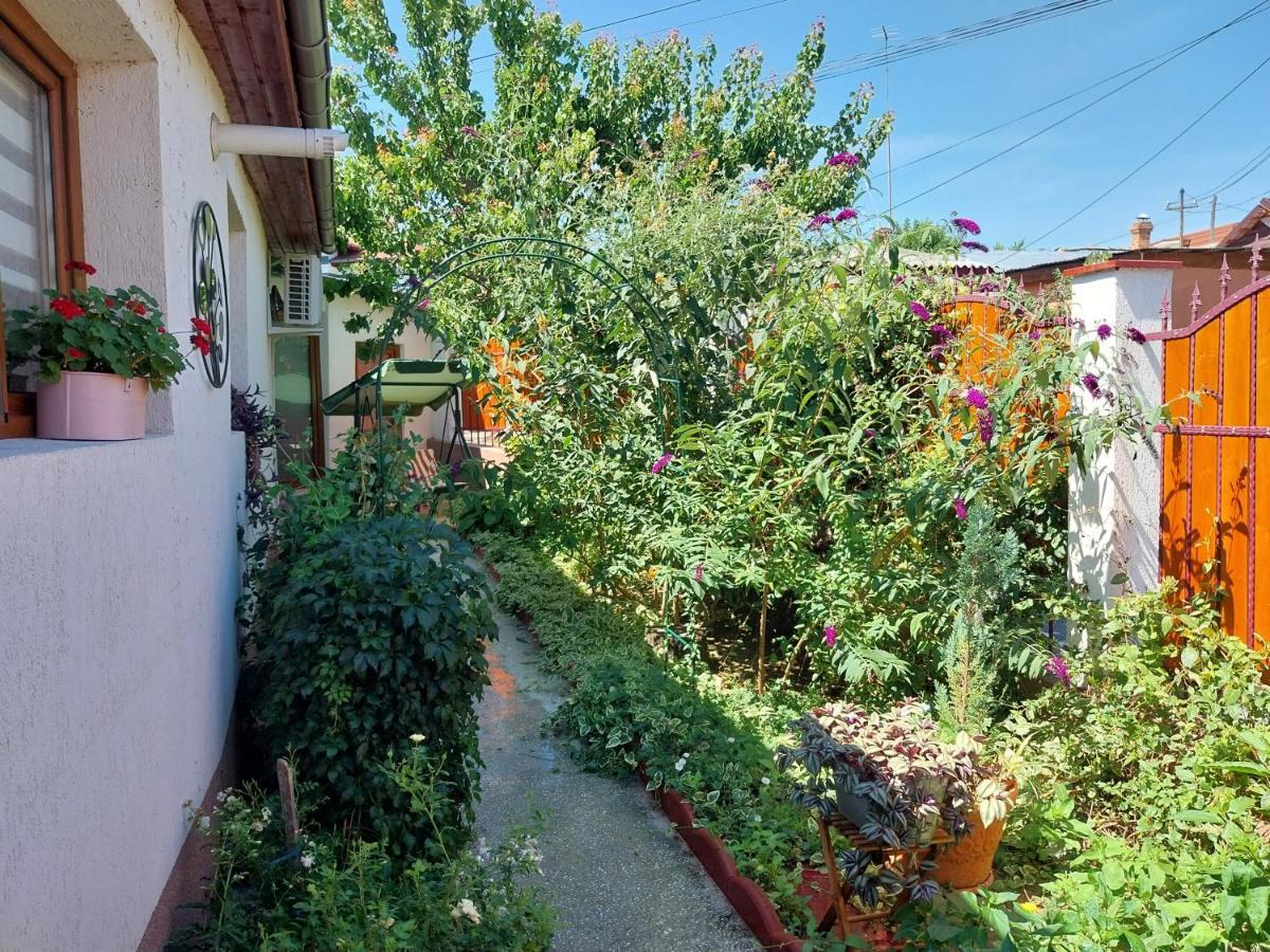 Casa Calin Villa Тулча Екстериор снимка